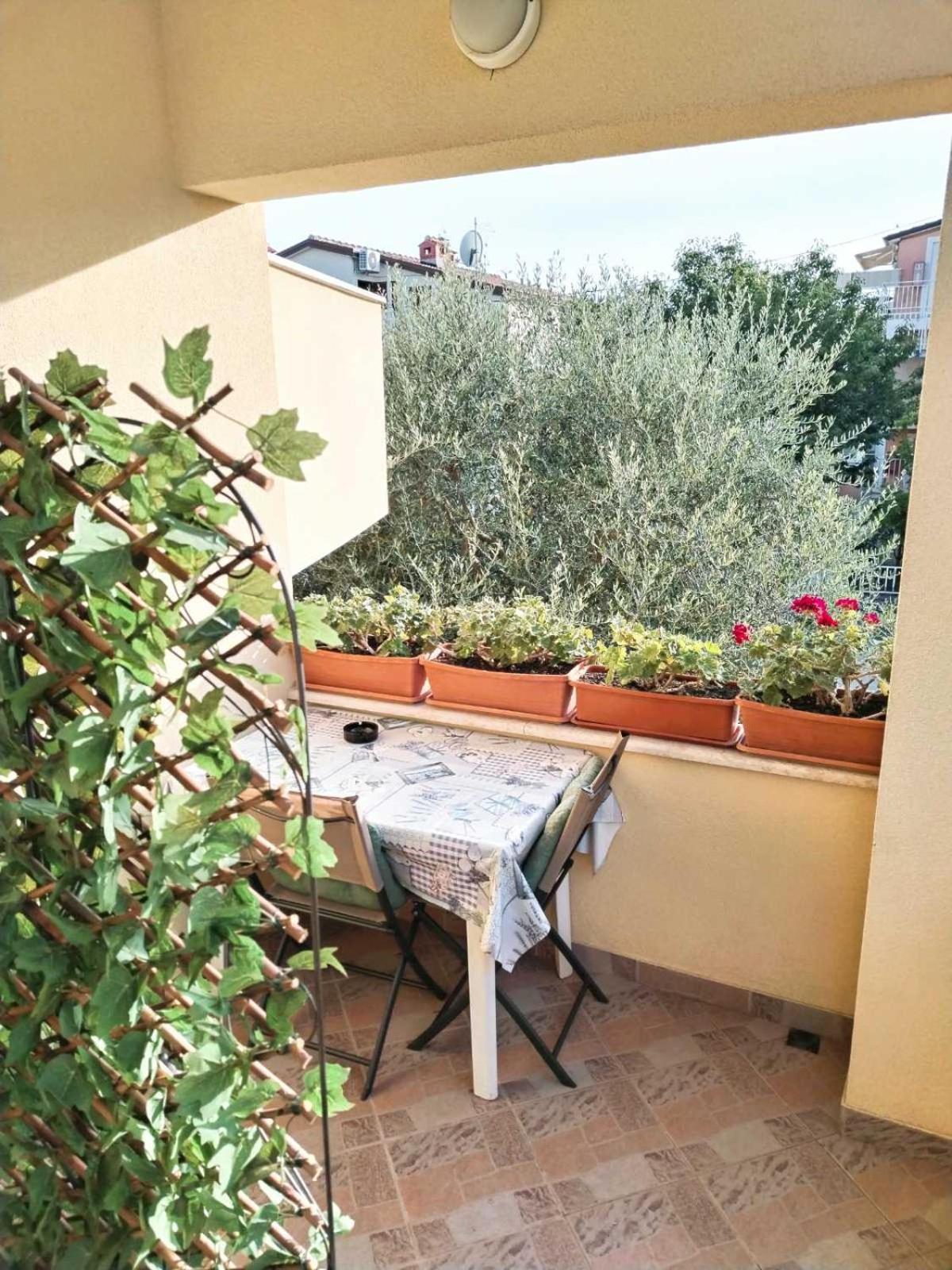 Apartment Novigrad Novigrad Istria Exterior foto